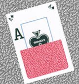 Copag Fall Adition invisible ink deck